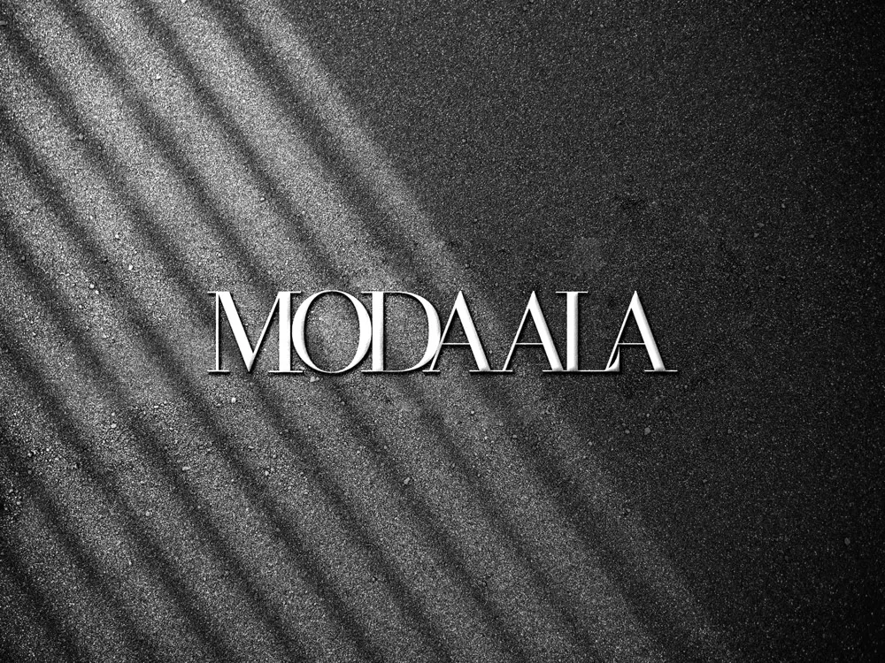 moda ala seo eğitimi