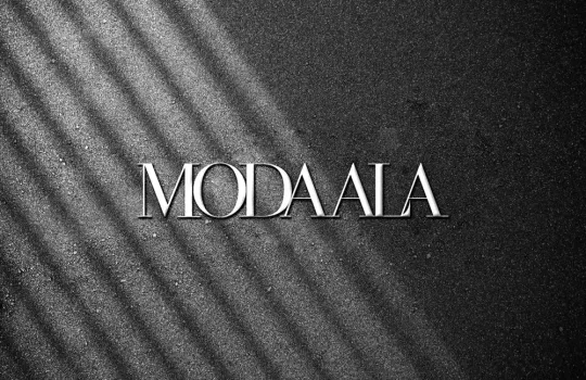 Moda Ala Seo Egitimi