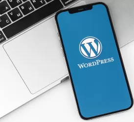WordPress Kursu