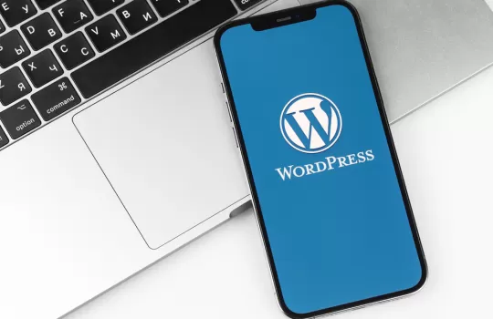 Wordpress Kursu 3
