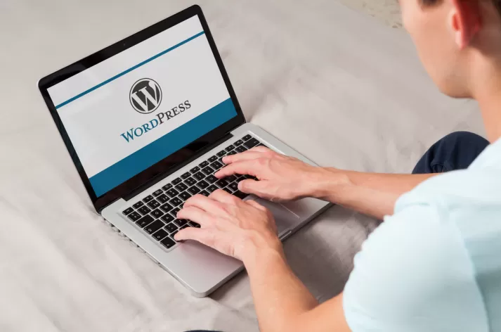 wordpress kursu fiyatları